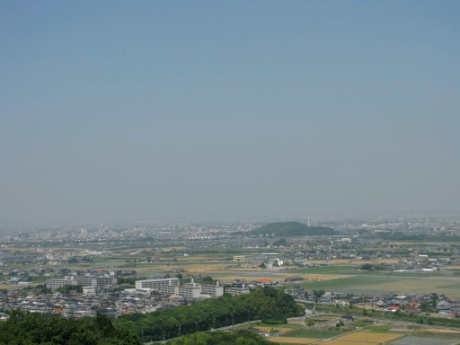 画像8